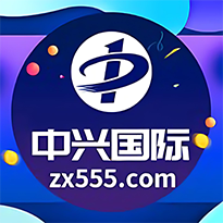 中兴国际